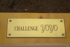yoyo2010038