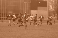 yoyo2010104