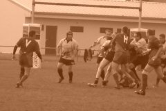 yoyo2010106