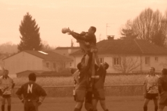 yoyo2010112