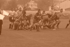 yoyo2010113