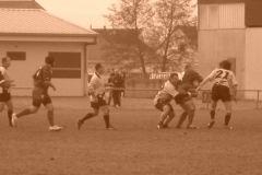 yoyo2010114