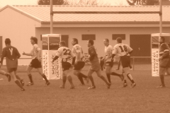 yoyo2010115