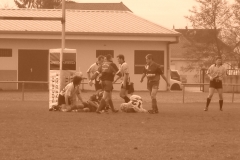 yoyo2010117