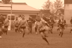 yoyo2010119