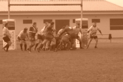 yoyo2010121
