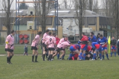 yoyo2010135