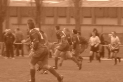 yoyo2010308