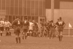 yoyo2010313