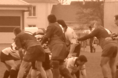 yoyo2010320