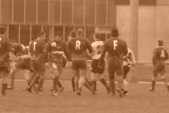 yoyo2010324