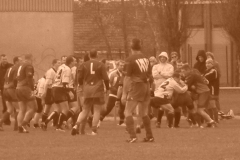 yoyo2010333