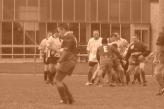yoyo2010335