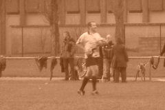 yoyo2010336