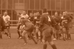 yoyo2010338