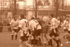 yoyo2010351