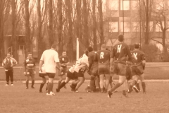 yoyo2010359
