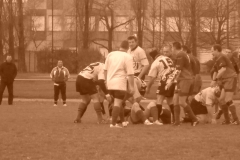 yoyo2010363