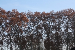 cy2011_002