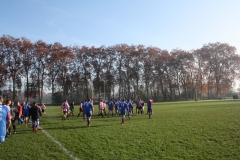 cy2011_012