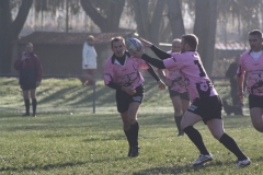 cy2011_025