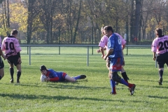 cy2011_028
