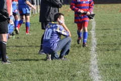 cy2011_031