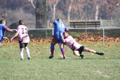 cy2011_059
