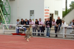 7JUIN169