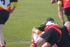 LOUHANS110