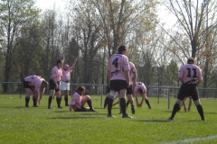 XVartrose-chonchon010