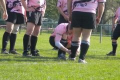 XVartrose-chonchon018