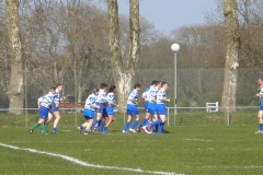 XVartrose-chonchon020