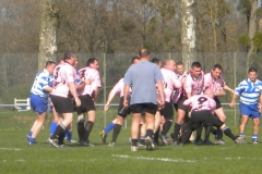 XVartrose-chonchon033