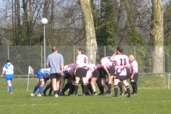 XVartrose-chonchon038