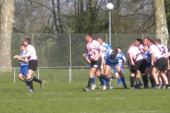 XVartrose-chonchon039