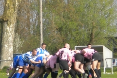 XVartrose-chonchon046