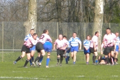 XVartrose-chonchon049