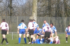 XVartrose-chonchon050