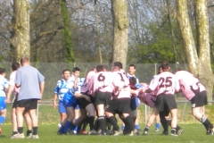 XVartrose-chonchon054