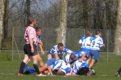 XVartrose-chonchon059