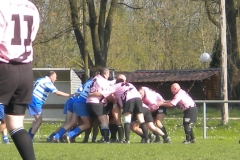 XVartrose-chonchon064