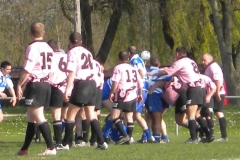 XVartrose-chonchon066