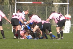 XVartrose-chonchon072