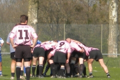 XVartrose-chonchon075