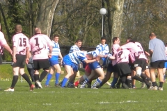 XVartrose-chonchon078