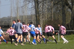 XVartrose-chonchon079