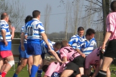 XVartrose-chonchon083