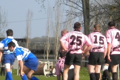 XVartrose-chonchon084