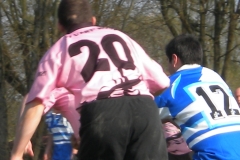 XVartrose-chonchon086